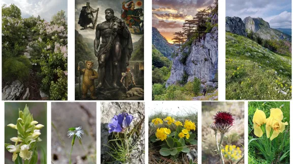 ISTORISIRI ÎNFLORITE, EDIȚIA A DOUA: O CĂLĂTORIE DE LEGENDĂ ÎN VALEA CERNEI