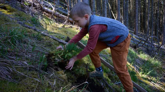 Împădurire Educativă – Valea Ierii | 9 mai 2026