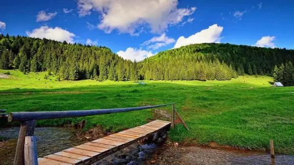 Run Camp Glavoi - Parcul Natural Apuseni   8-10 mai 