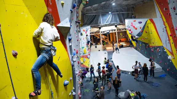 Atelier escalada începători la sala