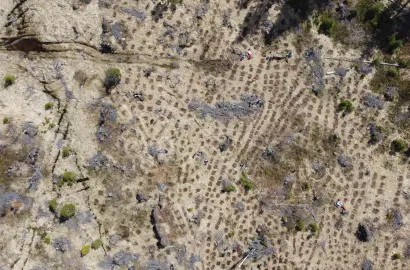 Împădurire în Parcul Natural Apuseni - zona Doda Pilii/Ic Ponor