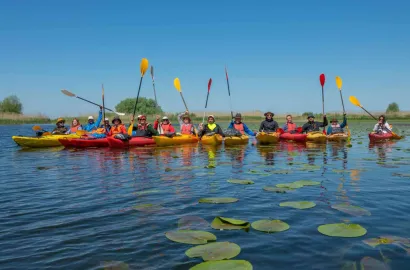 Cu caiacul în Delta Dunării