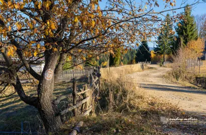 Toamna pe Via Transilvanica, Exsteel Engineering