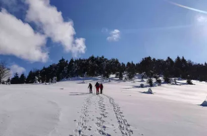 Prin zapezile din Calimani si Bargaului