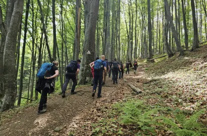 Raport de tură - Drumeție în Munții Făgăraș, Cabana Suru și Vf. Gorganu, Munții Noștri