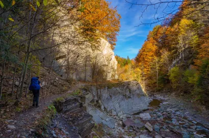 Toamna în M-ții Vrancei, FLEXTAIL 