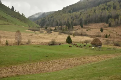  Drumeție pentru voluntarii msg Maraton Apuseni 2025 - Boinic | Zapodie