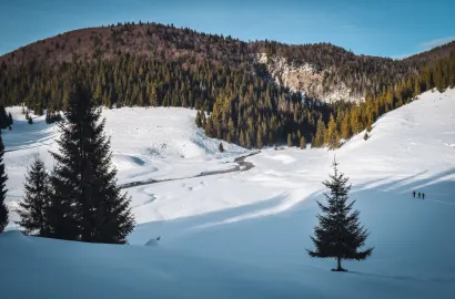 Drumeție de iarnă prin peisajul carstic al Padișului - Munții Bihor