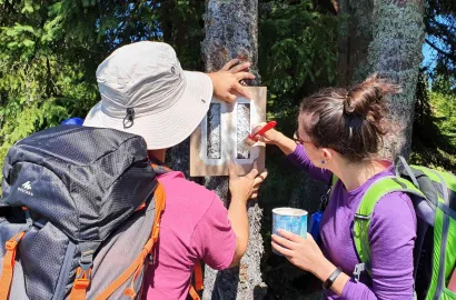 Excursie la Piatra Craivii