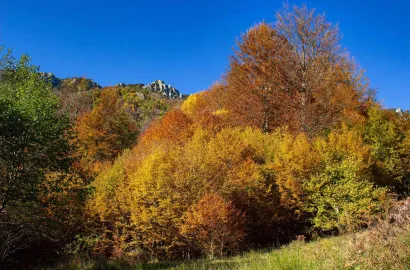 Culori în Buila-Vânturarița