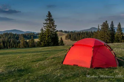 Mult dorita evadare !