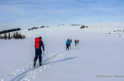 Traversarea Muntelui Mare din Lupșa în Stațiunea Muntele Băișorii - 27 ianuarie 2018