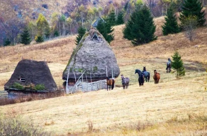 Mocani și colibe mocanești - Tură foto în Apuseni