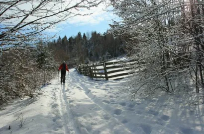 Pe schiuri "prin gradina casei"