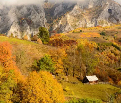 Tură FOTO pe Dealul Bilii | Muntele Mare