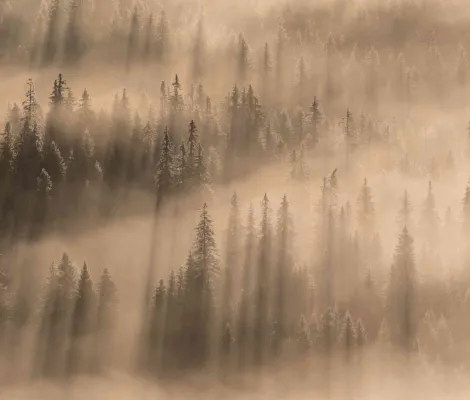 Atelier Foto și drumeție în Vlădeasa