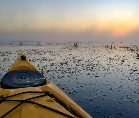 Cu caiacul in Delta Dunarii