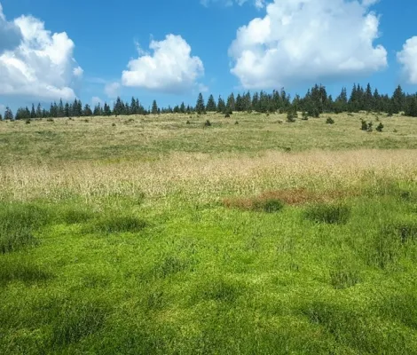Muntii Nostri - Tura MTB Muntii Muntele Mare: Rezervatia Naturala Molhasurile Capatanii
