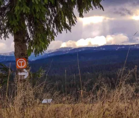 Toamna pe Via Transilvanica, EXSTEEL ENGINEERING