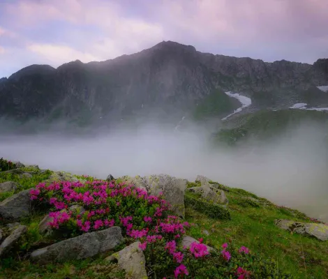 Calendar 2023 - Concurs de fotografie