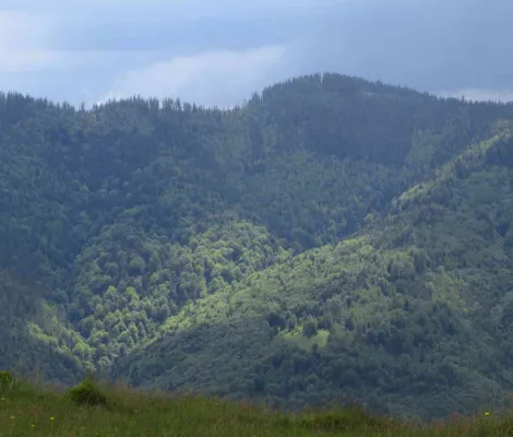 Tura MTB Muntii Muntele Mare: Varful Pietrele Incalecate, Muntele Agris