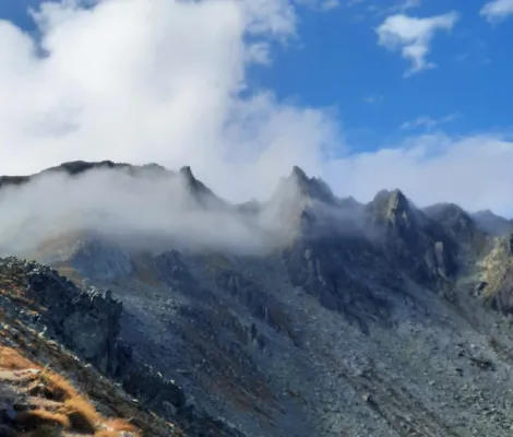 Retezat Camp, Gențiana 23-26 iulie