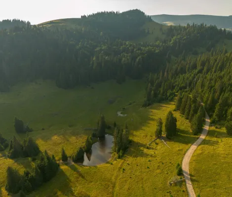 Tabăra Primăverii, Padiș 14-17 mai 2026