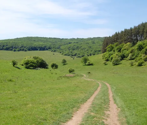 Via Mariae - bicicleală pe câmpie. 