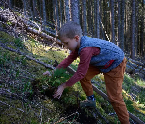 Împădurire Educativă – Valea Ierii | 9 mai 2026