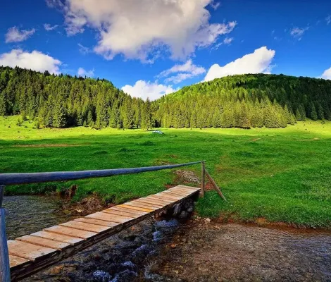 Run Camp Glavoi - Parcul Natural Apuseni   8-10 mai 