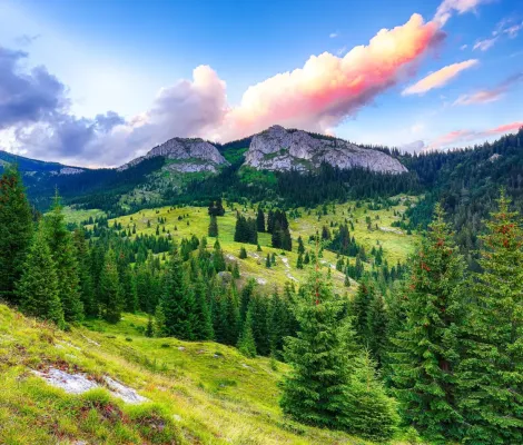 Cascada Rachitele - Pestera Susman - Pietrele Albe (Circuit) > Muntii Vladeasa