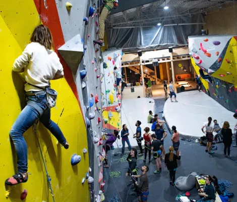 Atelier escalada începători la sala