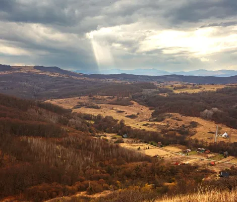 Acțiune de igienizare în zona Sf. Ion - Cluj-Napoca
