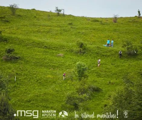 Buscat – Muntele Mare