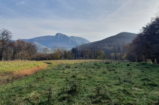 Vedere spre Coltii Trascaului