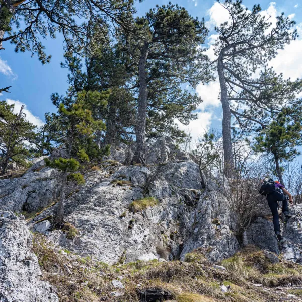 Primăvara în M-ții Mehedinți MERINITO
