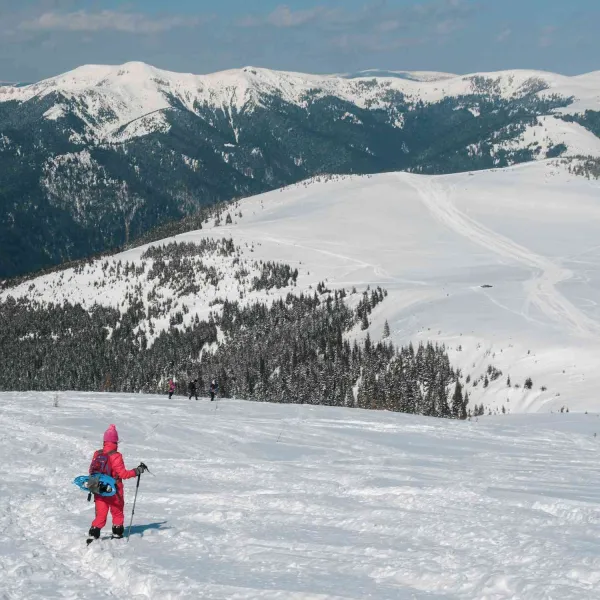 Vf. Cearcănu văzut din Rodnei