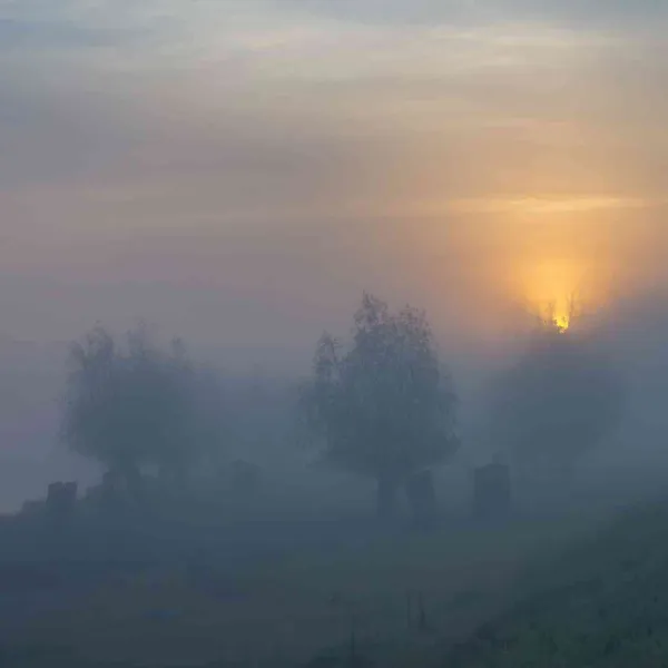 Cu caiacul în Delta Dunării