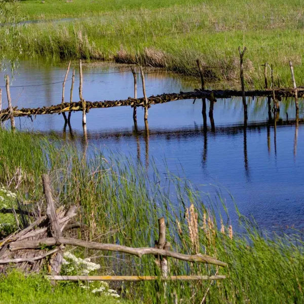 Cu caiacul în Delta Dunării