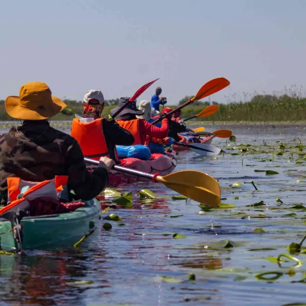 Cu caiacul în Delta Dunării