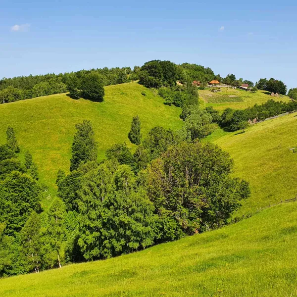 drumetie-Platforma-Luncanilor-8