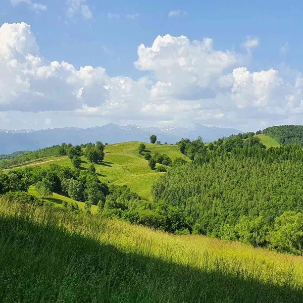 drumetie-Platforma-Luncanilor-10