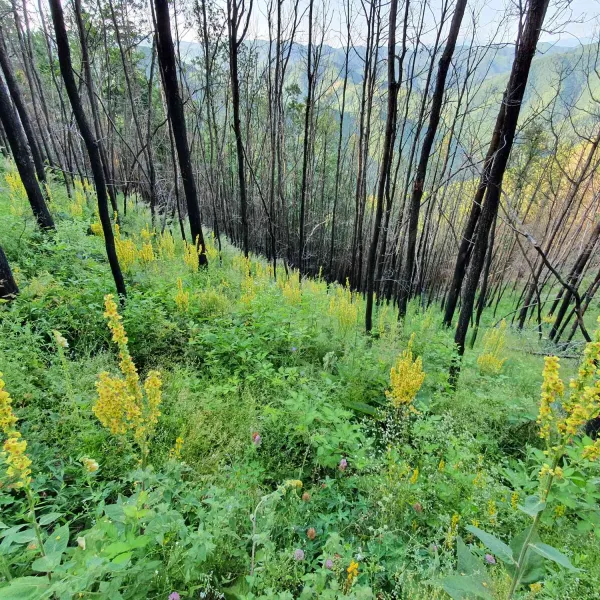 drumetie-Platforma-Luncanilor-14