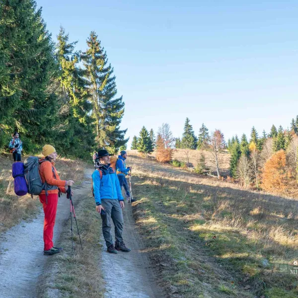 Toamna pe Via Transilvanica