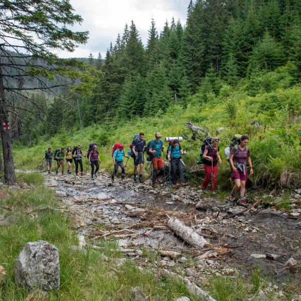 Urcare catre Poiana Izovarele, din Muntii Calimani