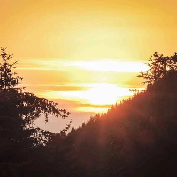 Apus in Muntii Calimanilor