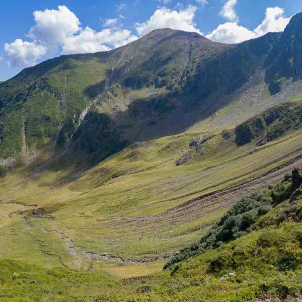 Vara în vestul Făgărașilor, MERINITO