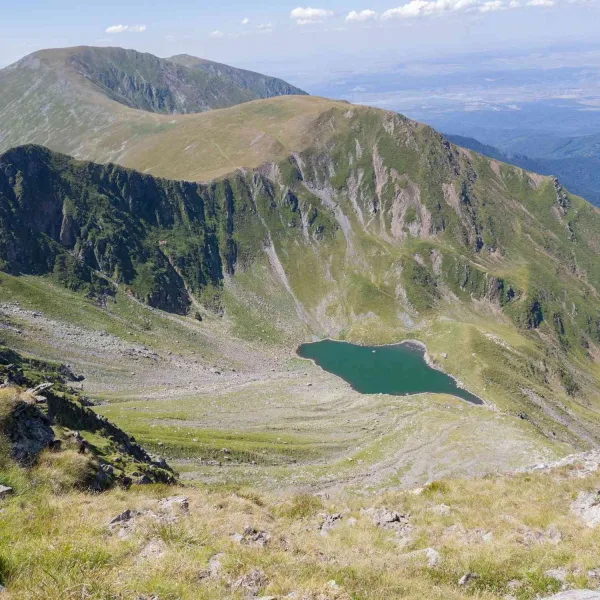 Vara în vestul Făgărașilor, MERINITO