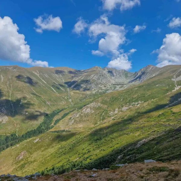 Vara în vestul Făgărașilor, MERINITO