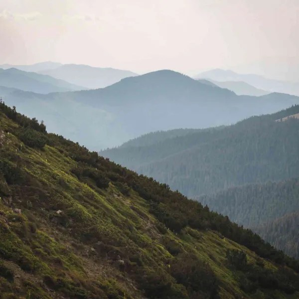 Vedere catre Muntii Bargau